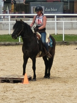 Huzt 25 K.Reichmann Deckhengst